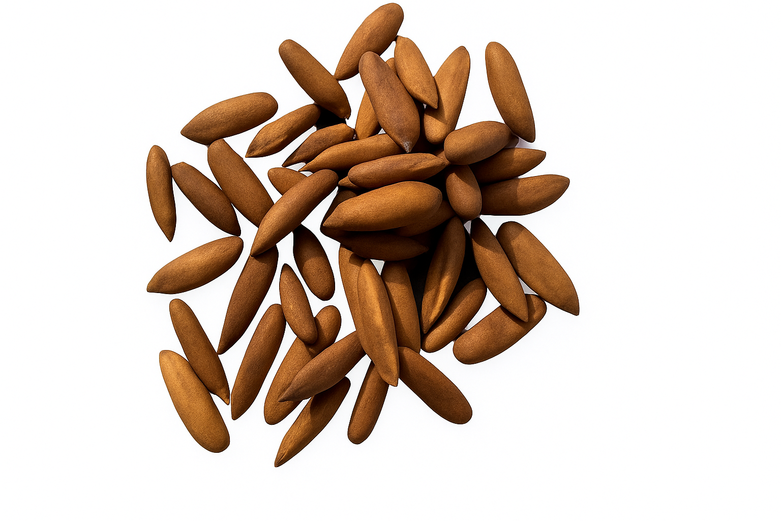 Pine Nuts (Chilgoza)
